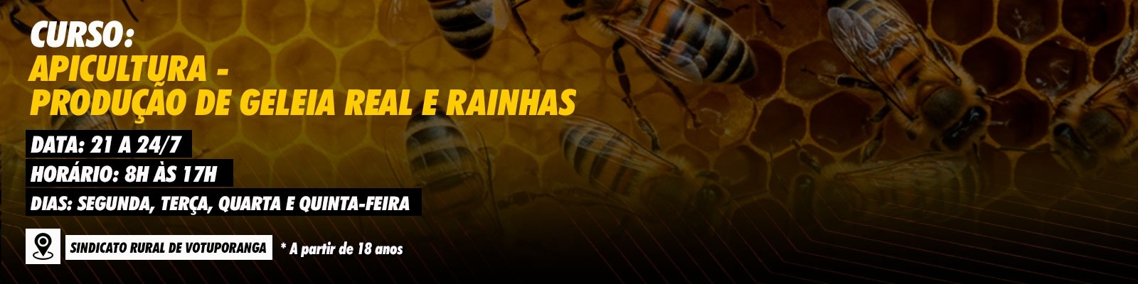 Banner 