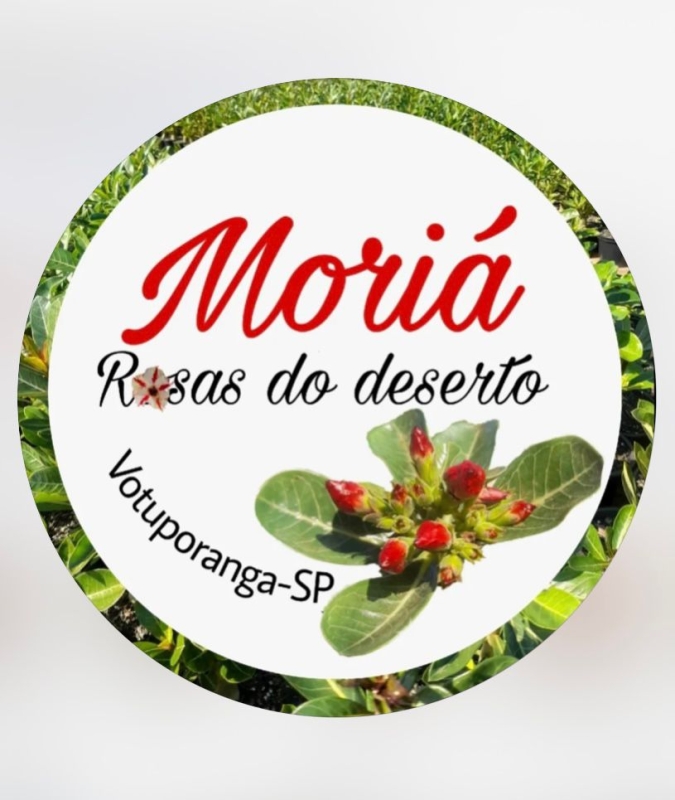 Turismo sitio-moria---rosas-do-deserto